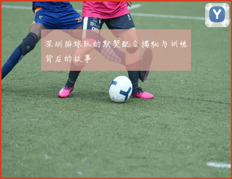深圳排球队的默契配合揭秘与训练背后的故事