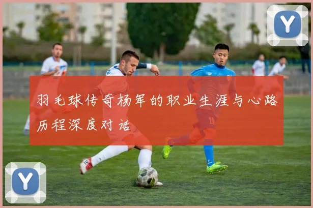 羽毛球传奇杨军的职业生涯与心路历程深度对话