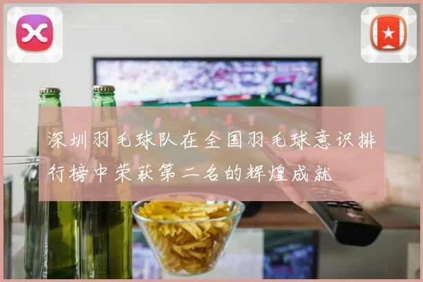 深圳羽毛球队在全国羽毛球意识排行榜中荣获第二名的辉煌成就