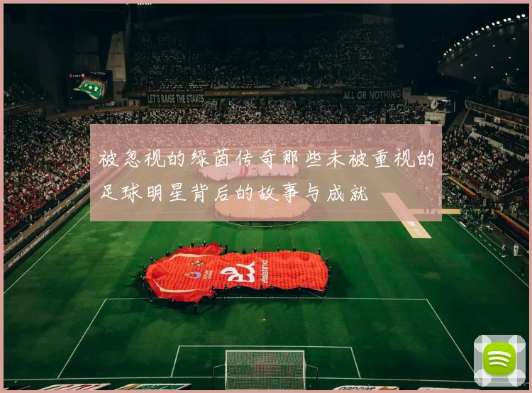 被忽视的绿茵传奇那些未被重视的足球明星背后的故事与成就