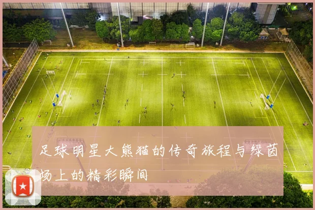 足球明星大熊猫的传奇旅程与绿茵场上的精彩瞬间