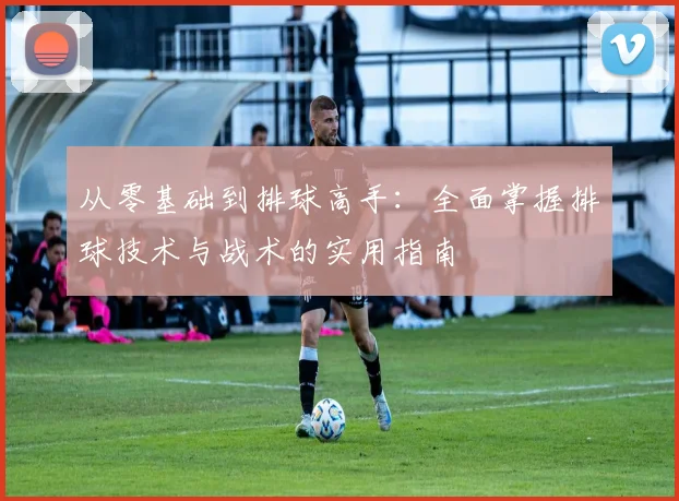 从零基础到排球高手：全面掌握排球技术与战术的实用指南
