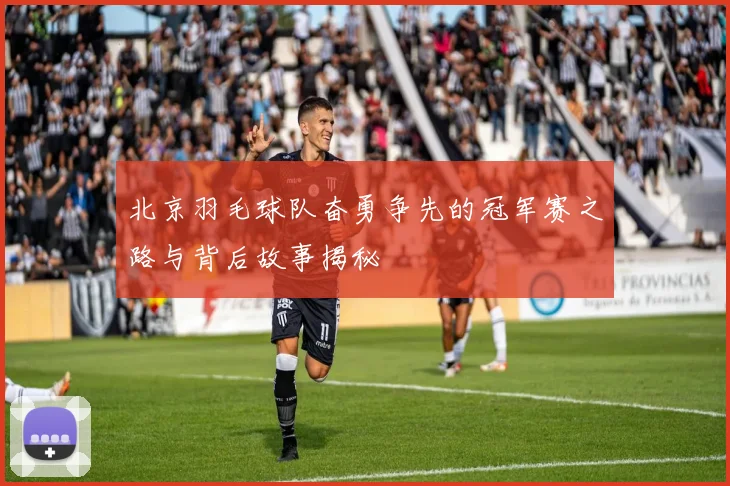 北京羽毛球队奋勇争先的冠军赛之路与背后故事揭秘