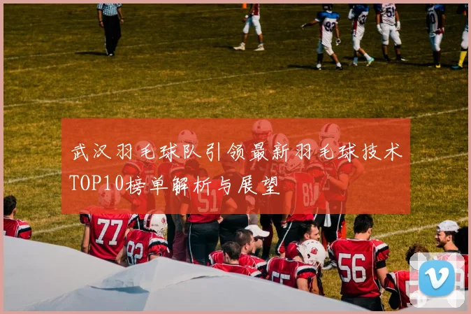 武汉羽毛球队引领最新羽毛球技术TOP10榜单解析与展望