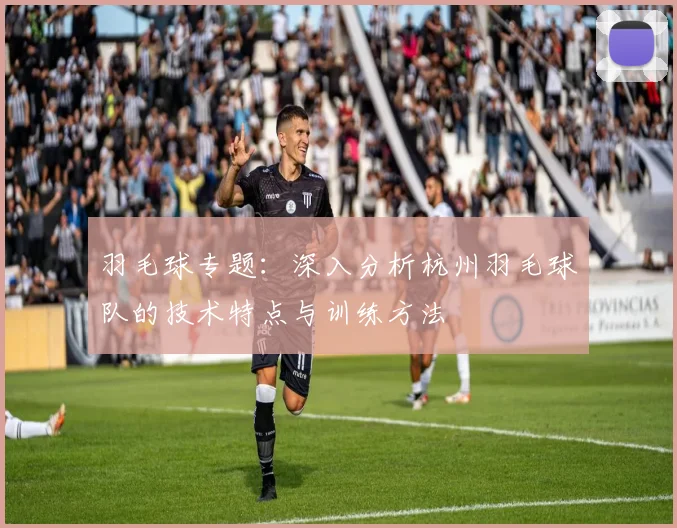 羽毛球专题：深入分析杭州羽毛球队的技术特点与训练方法