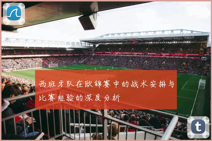 西班牙队在欧锦赛中的战术安排与比赛经验的深度分析