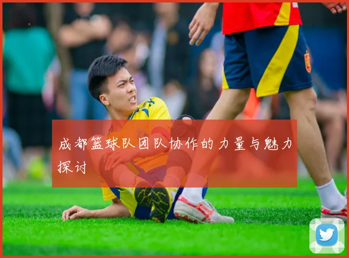 成都篮球队团队协作的力量与魅力探讨