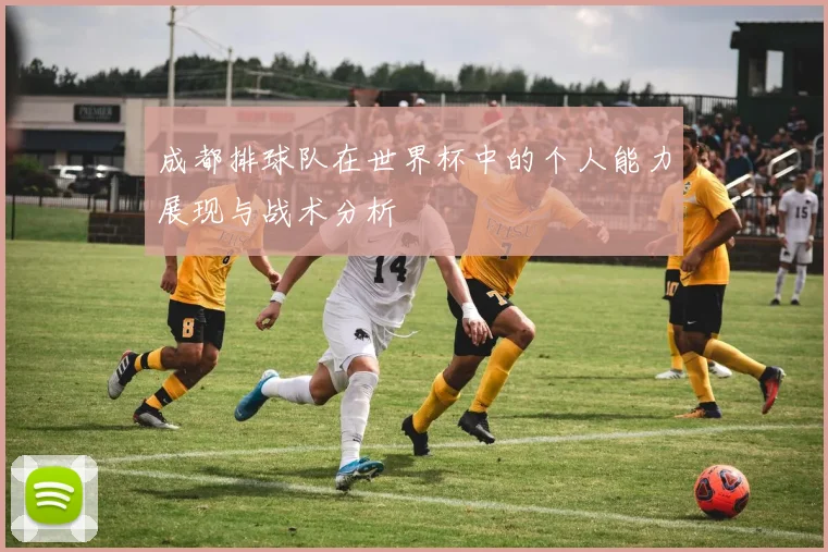 成都排球队在世界杯中的个人能力展现与战术分析