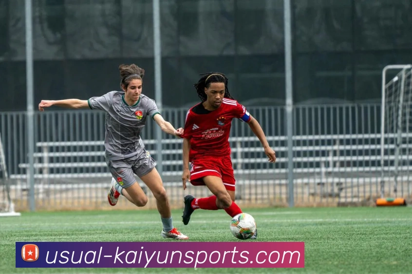 开云极速发展历程